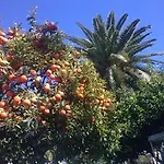酒店 Le Grand Cap 罗克布吕讷-卡普马丹
