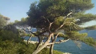 Le Grand Cap 3*