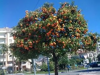 Отель Le Grand Cap Рокебрюн — Кап-Мартен