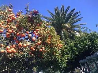 Отель Le Grand Cap Рокебрюн — Кап-Мартен